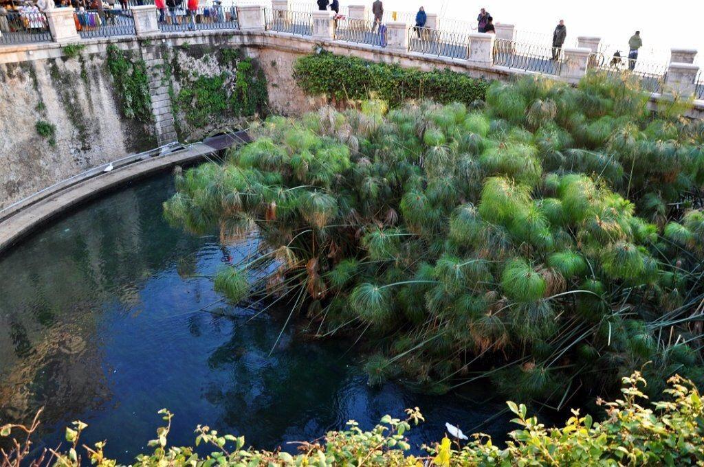 Siracusa Vacanze Syrakuzy Pokój zdjęcie